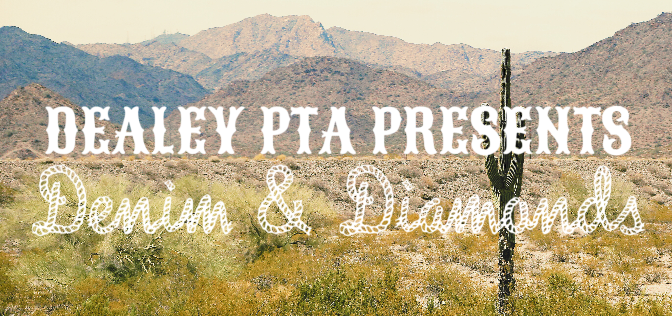 Denim & Diamonds Hero2